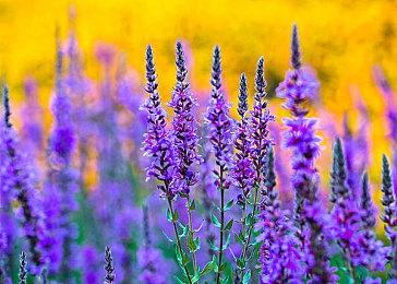 爆款续作《全网公敌：新世界》Steam限时试玩版首次公开！